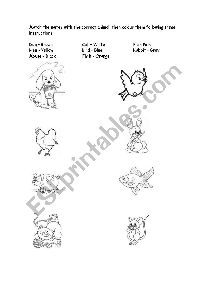 Animals and colours worksheet