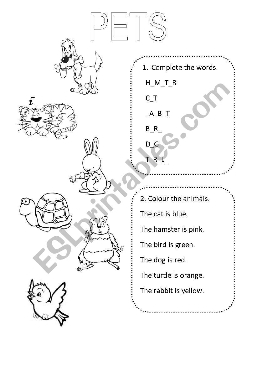 Pets worksheet