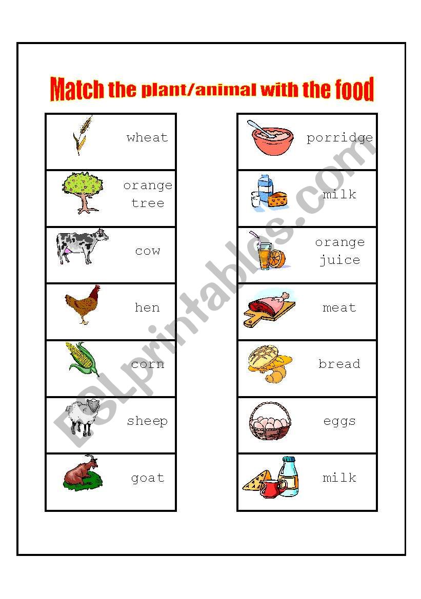 Match the plant/animal with the food