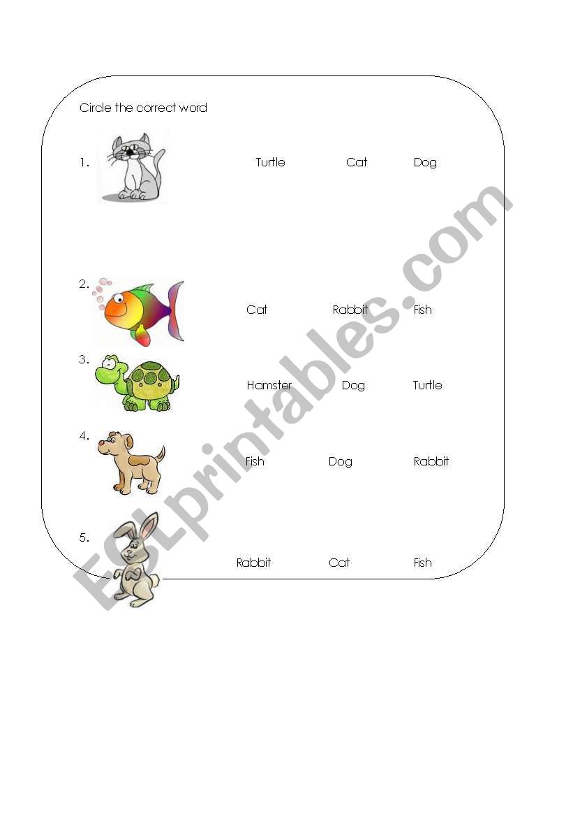 Pets worksheet