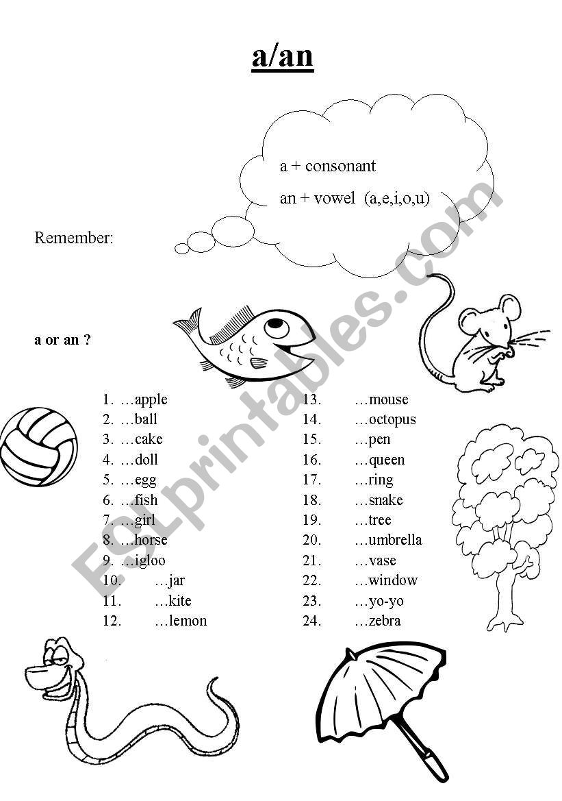 a/an worksheet