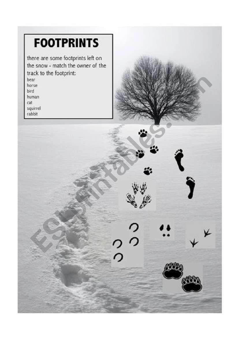 animal footprints worksheet