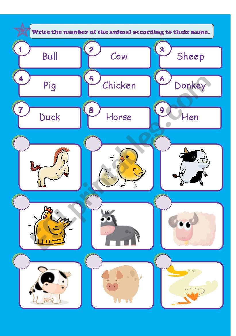 Match the Farm Animals! worksheet