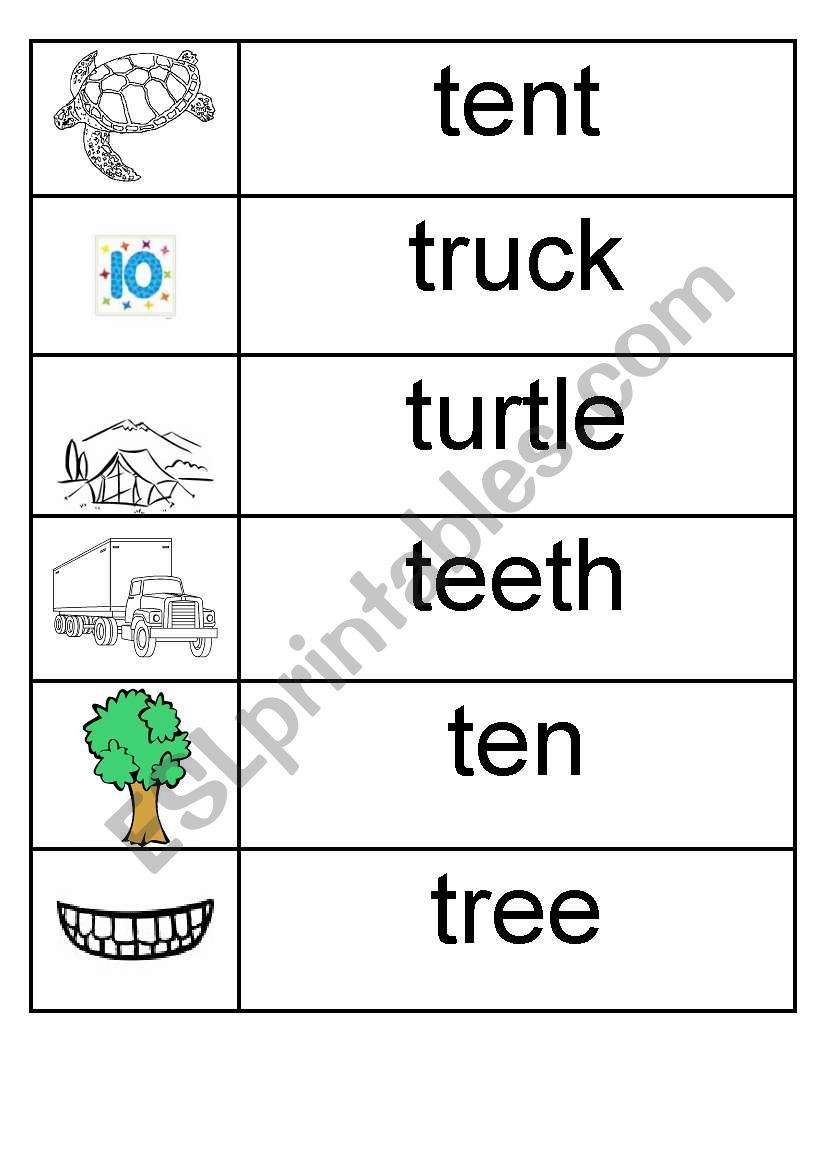 t - picture/word match worksheet