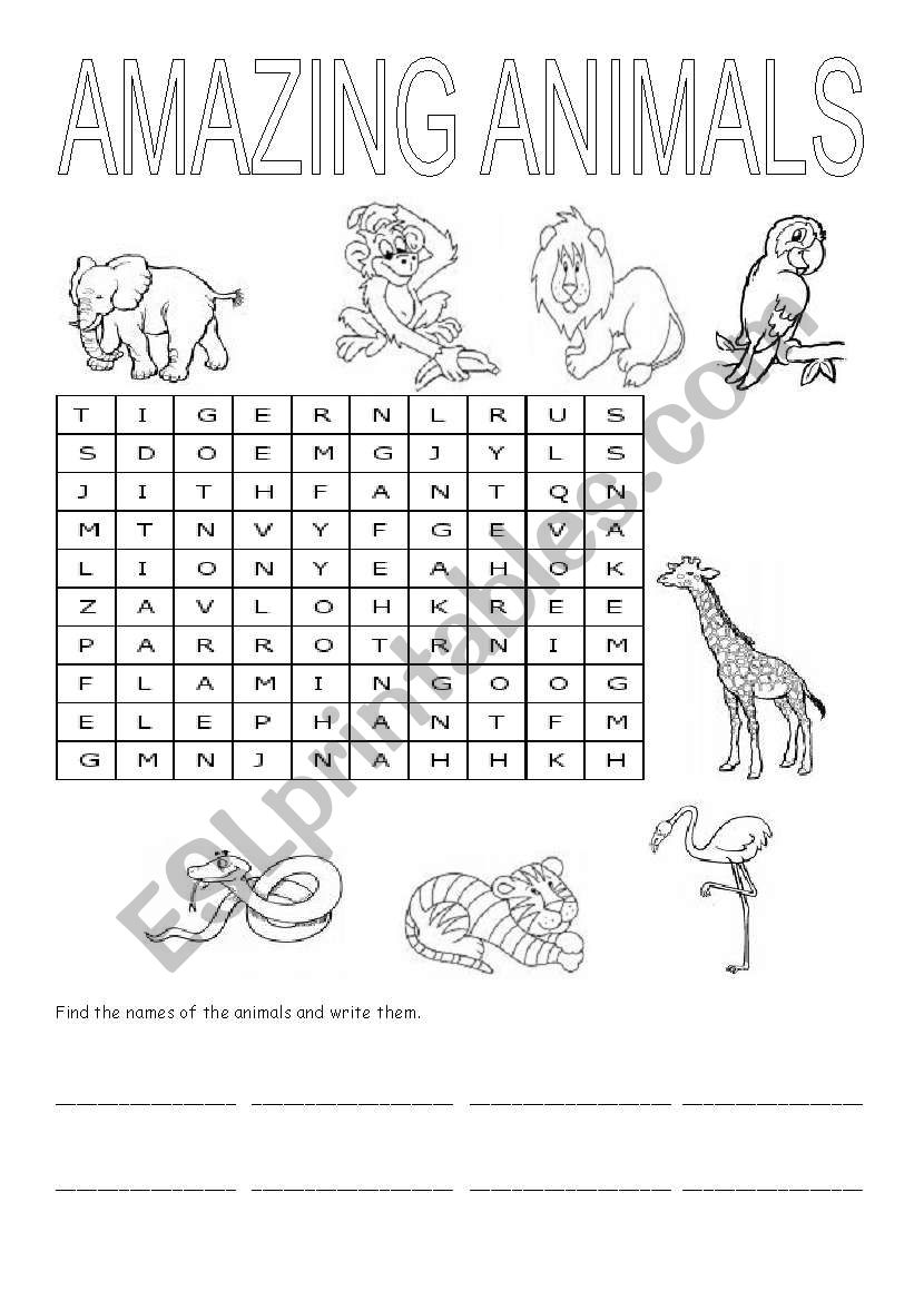 AMAZING ANIMALS worksheet