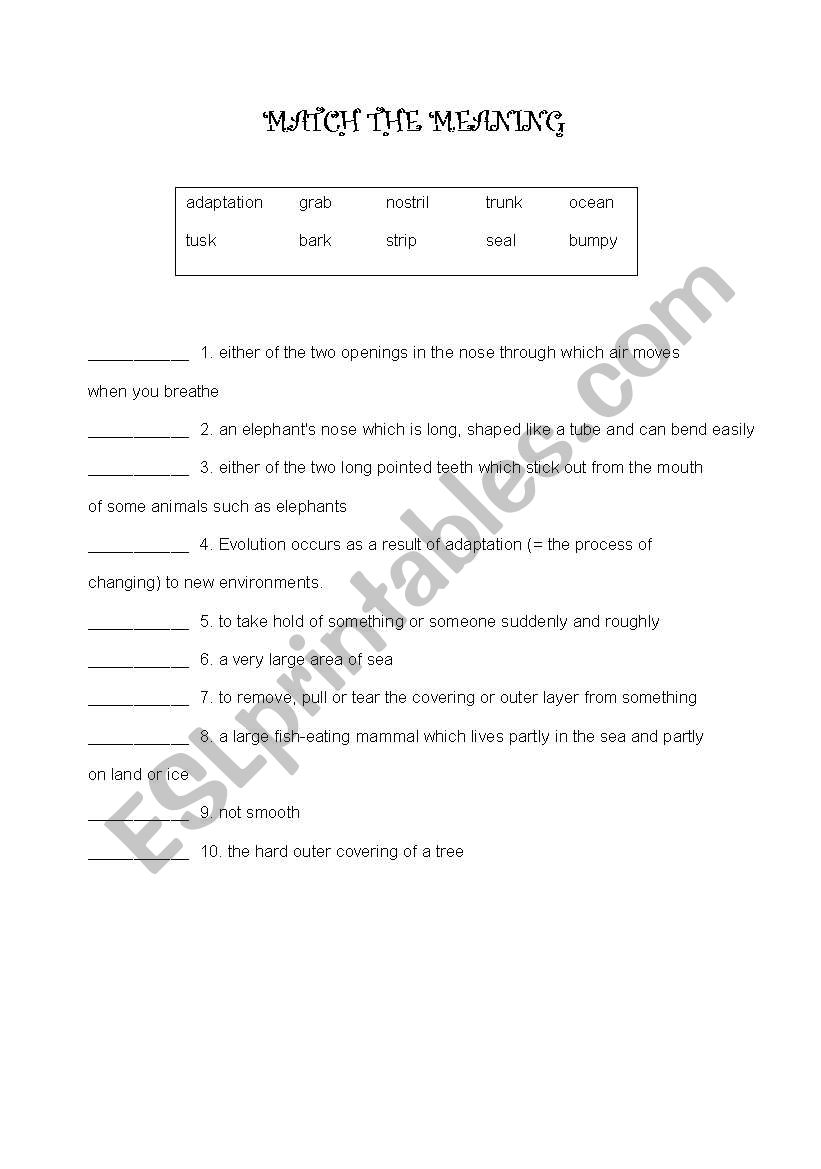 MATCH THE MEANING worksheet