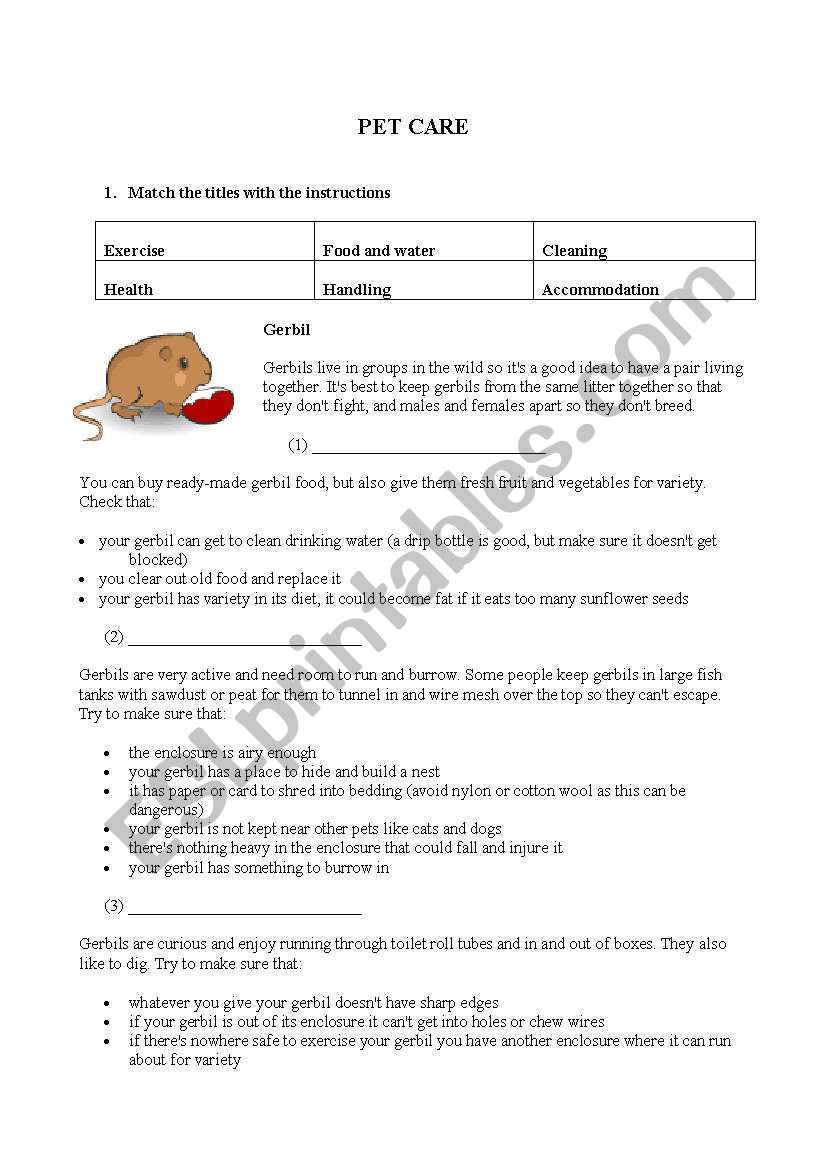 Pet Care worksheet