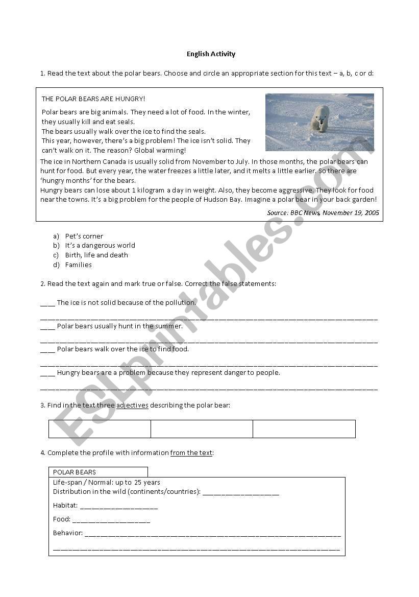 Animals - Polar bear worksheet