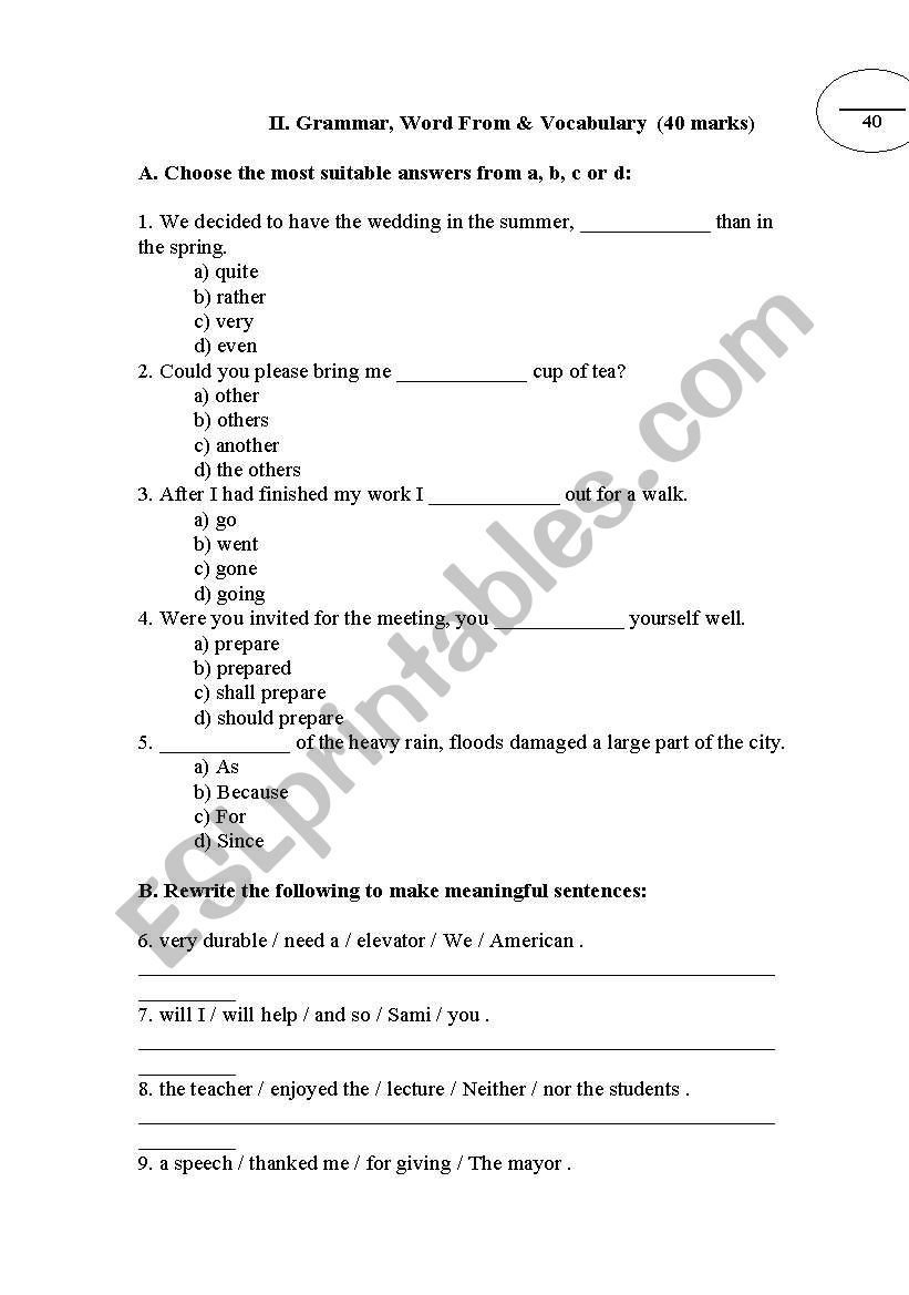 Vocab and Grammar worksheet