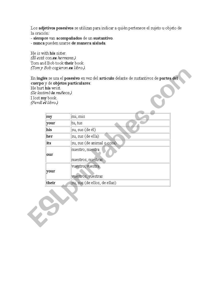 possessive adjectives worksheet