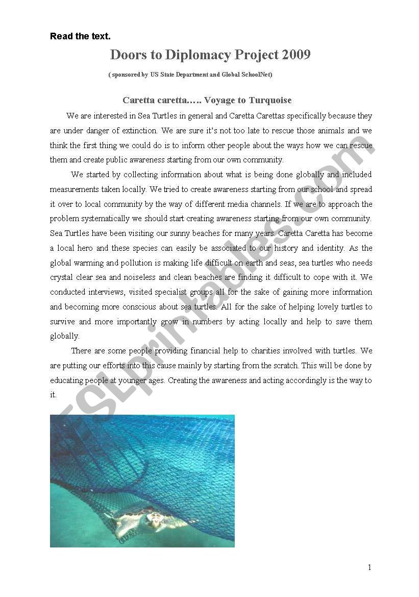 endangered sea turtles  worksheet