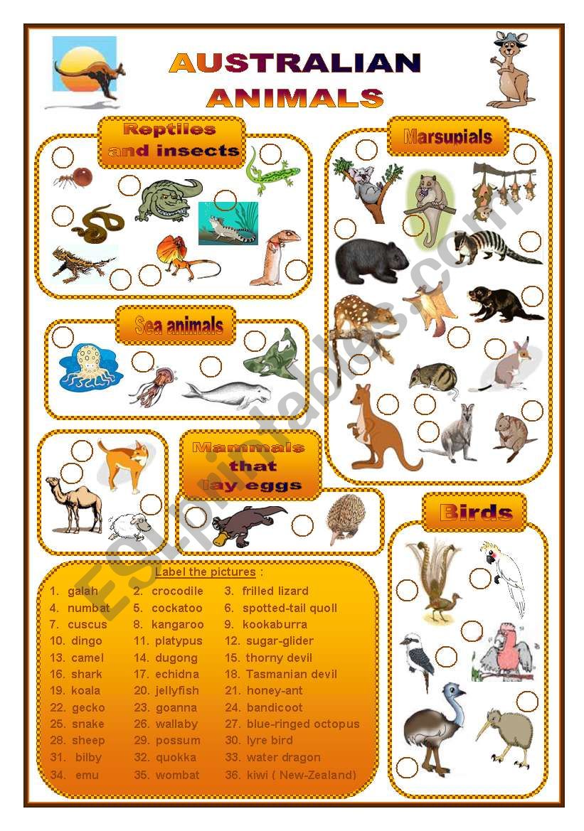 animals, worksheet (fully editable) - ESL worksheet by ludique22