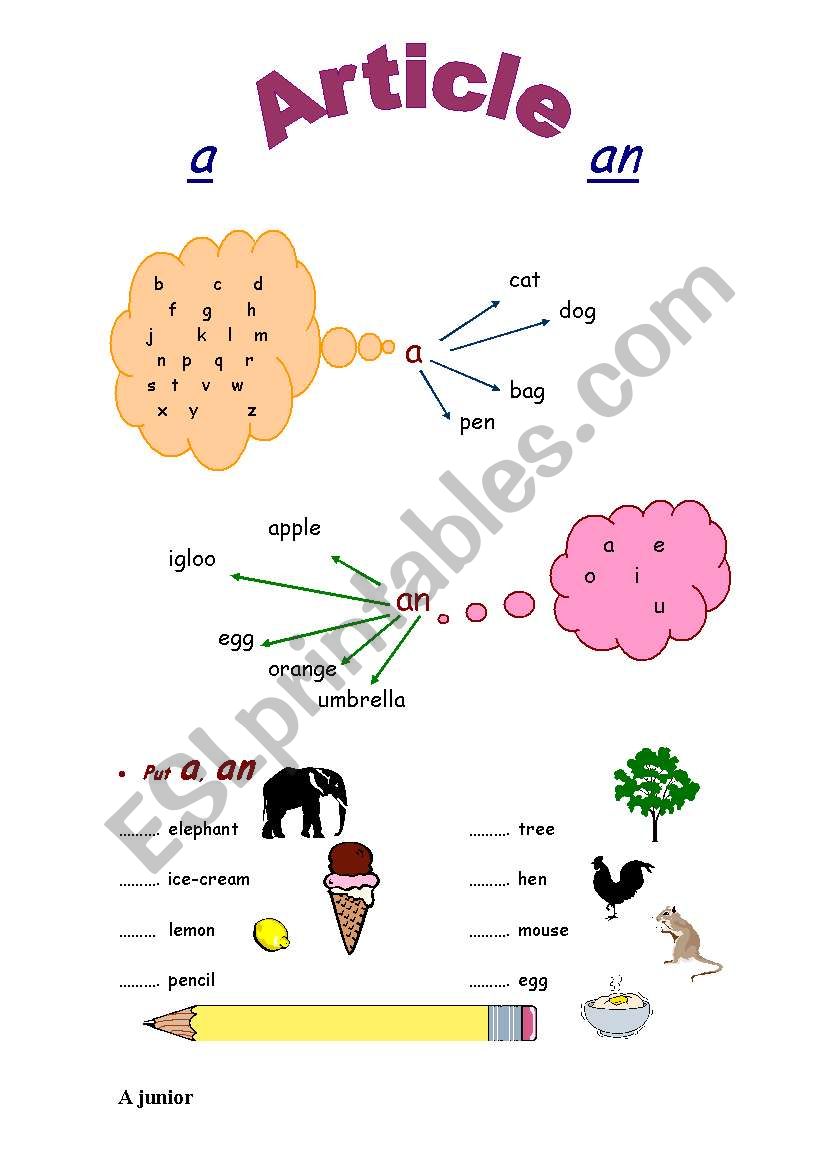 article a,an worksheet