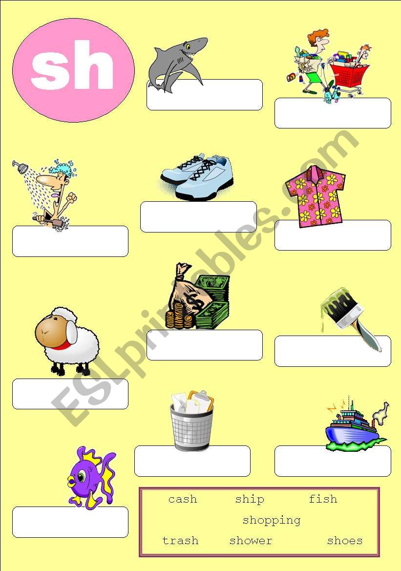 Phonics 3 - sh worksheet