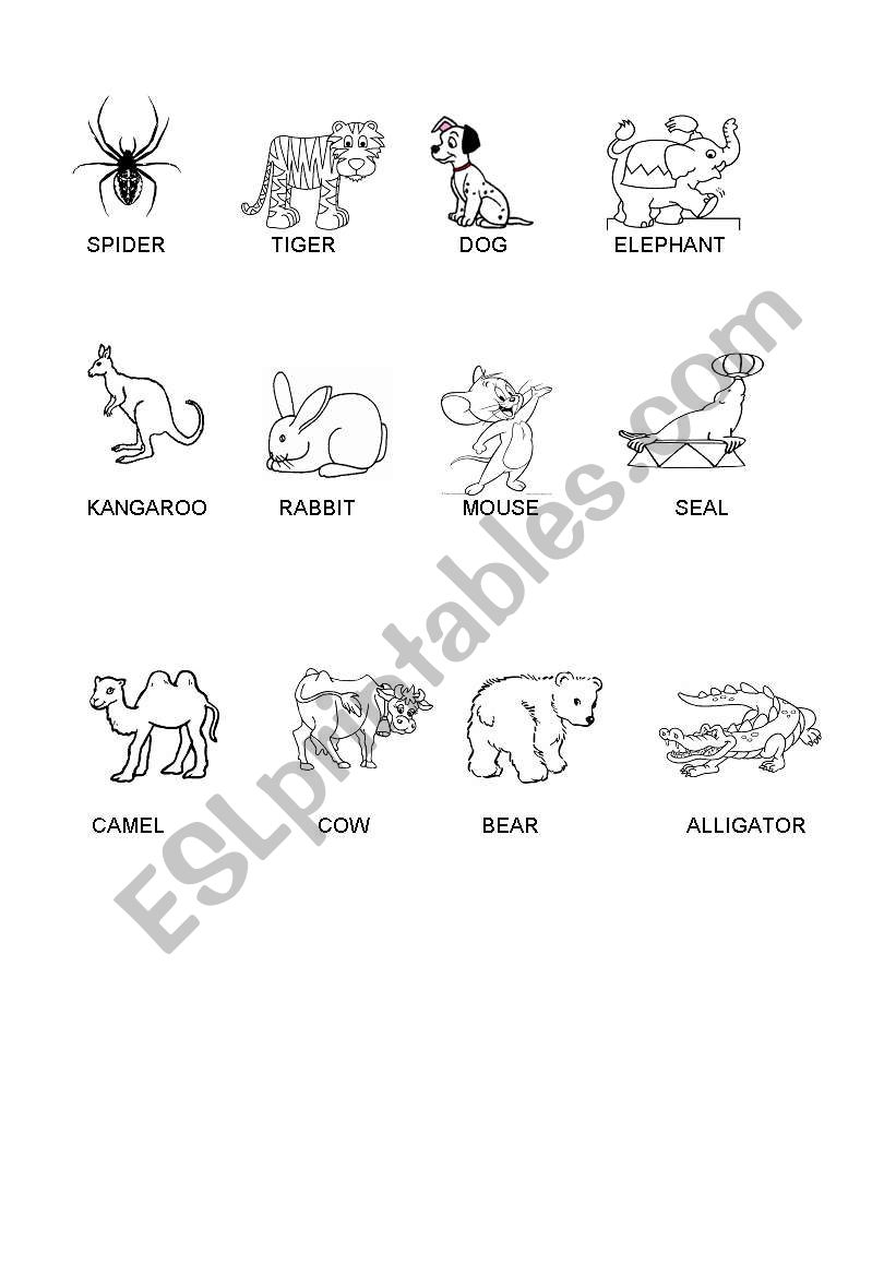 ANIMALS worksheet