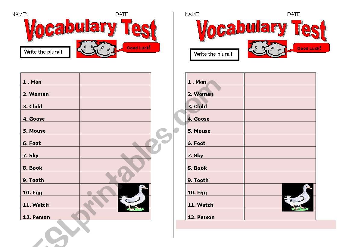 PLURAL OF NOUNS TEST worksheet