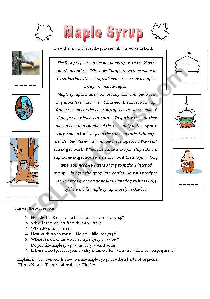 Maple Syrup worksheet