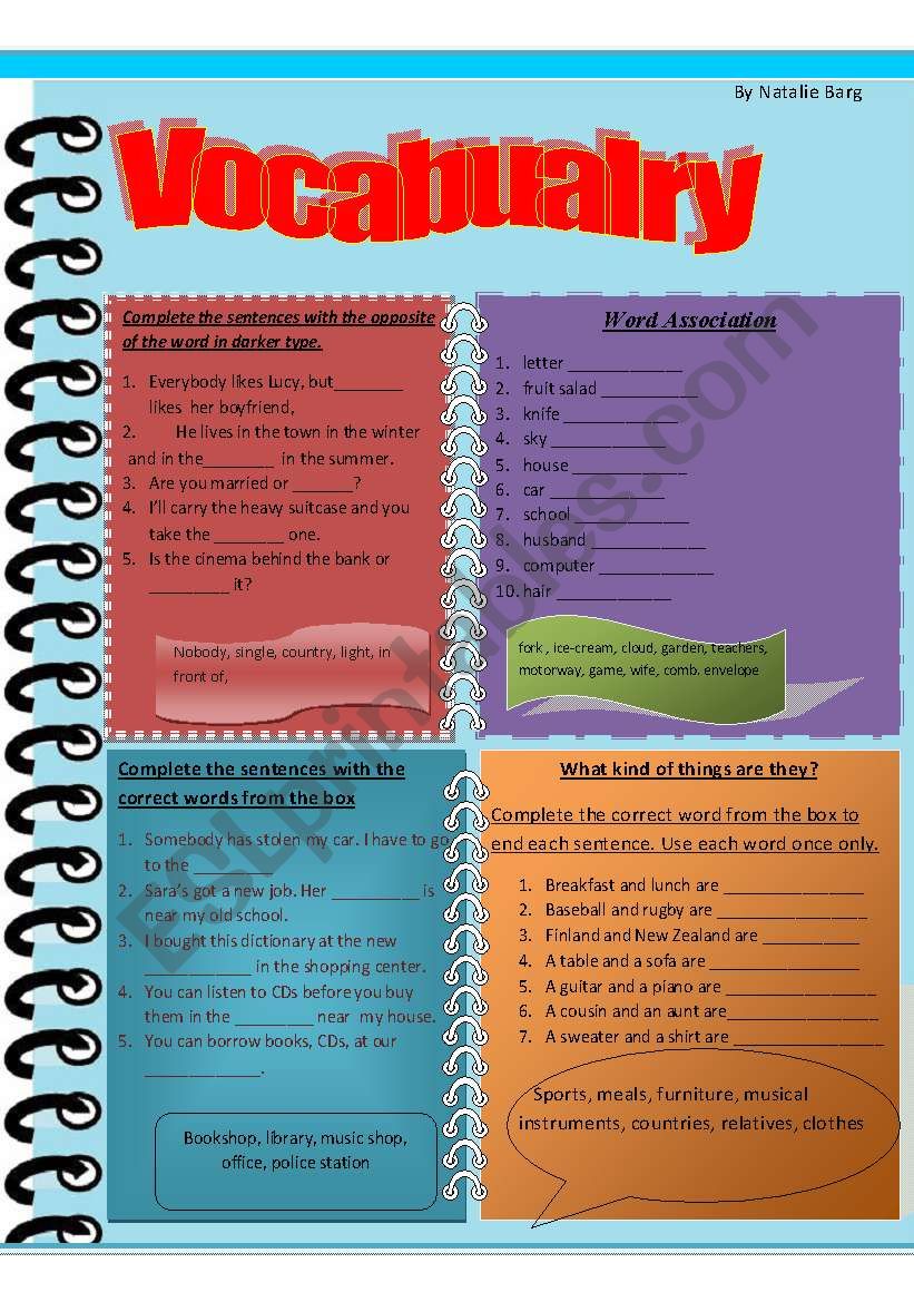 Vocabulary is Important worksheet