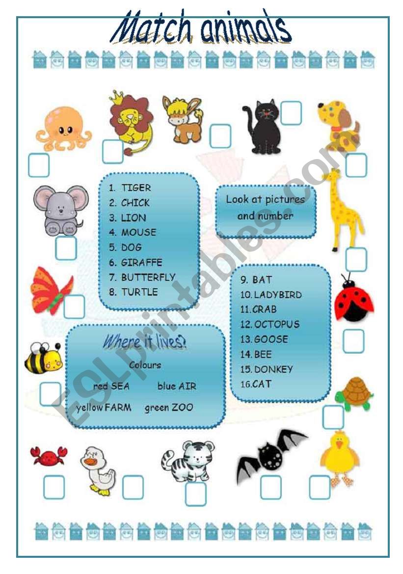 Match animals worksheet