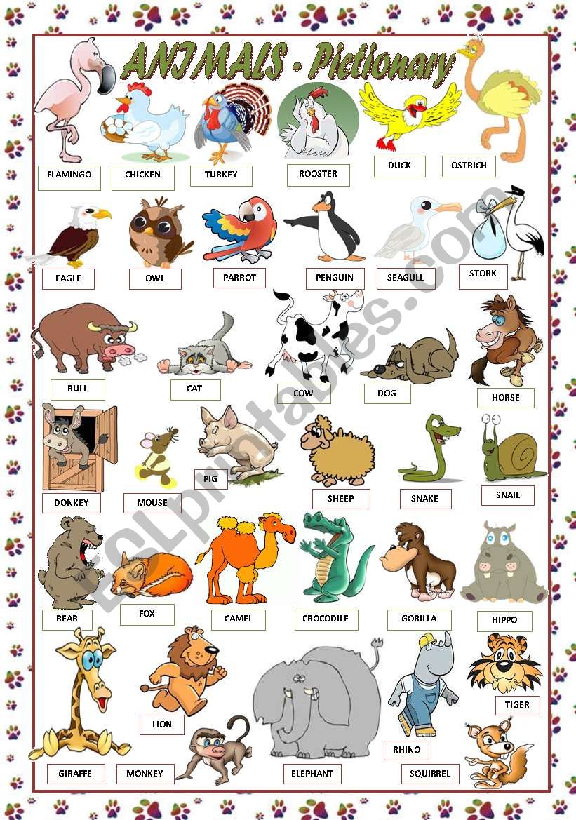 ANIMALS - PICTIONARY worksheet