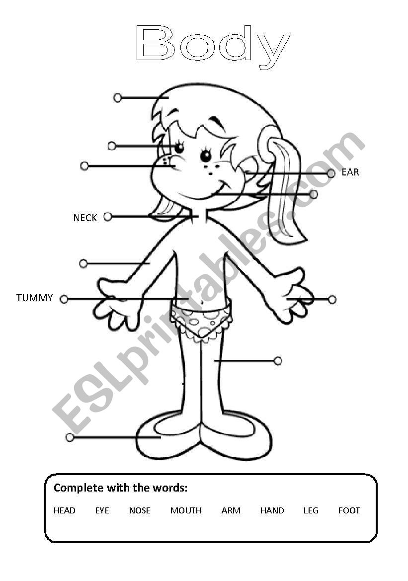 The body worksheet