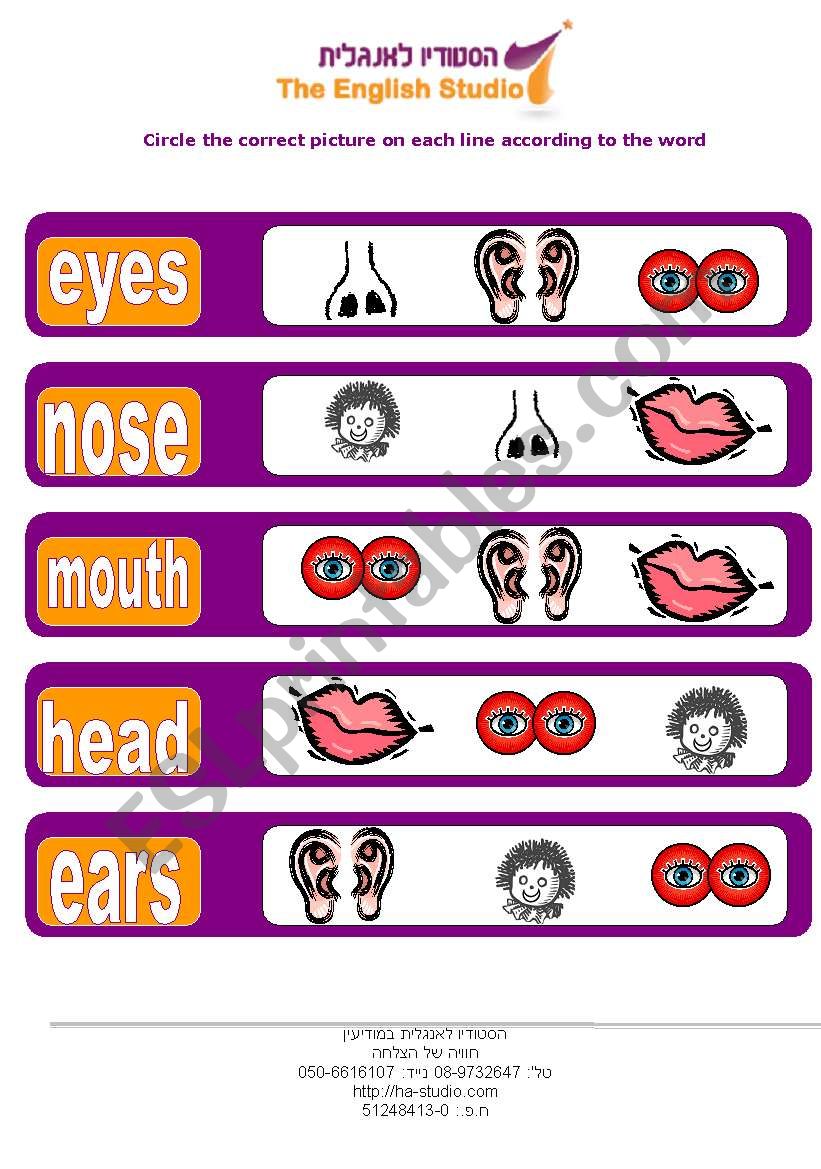facial- head, eyes, ears,  mouth ,nose 