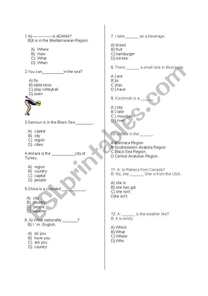 50 test questions especially consist of Simple Present Tense for Turkish Teachers