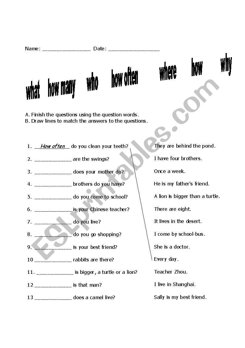 Question words worksheet worksheet