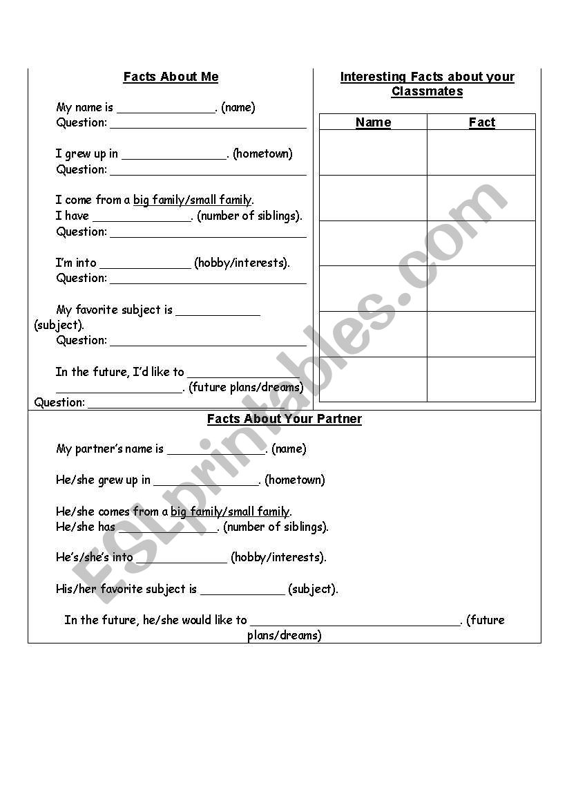 Introduce A Partner worksheet