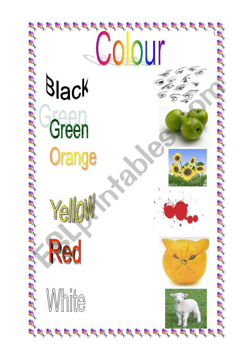 colours worksheet