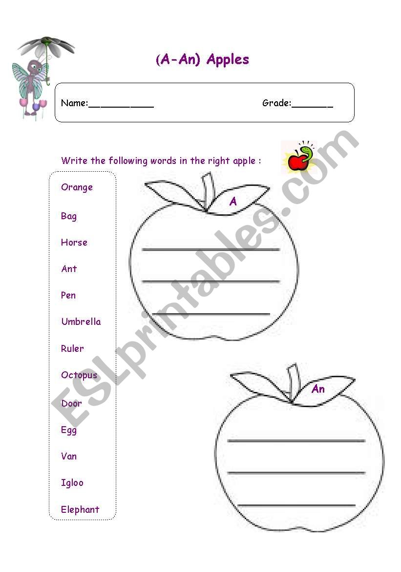 A /An  worksheet