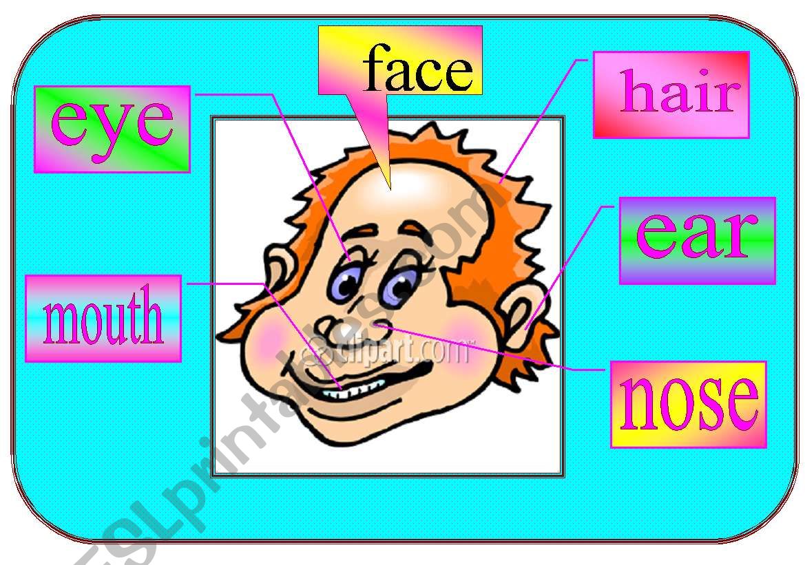 face worksheet
