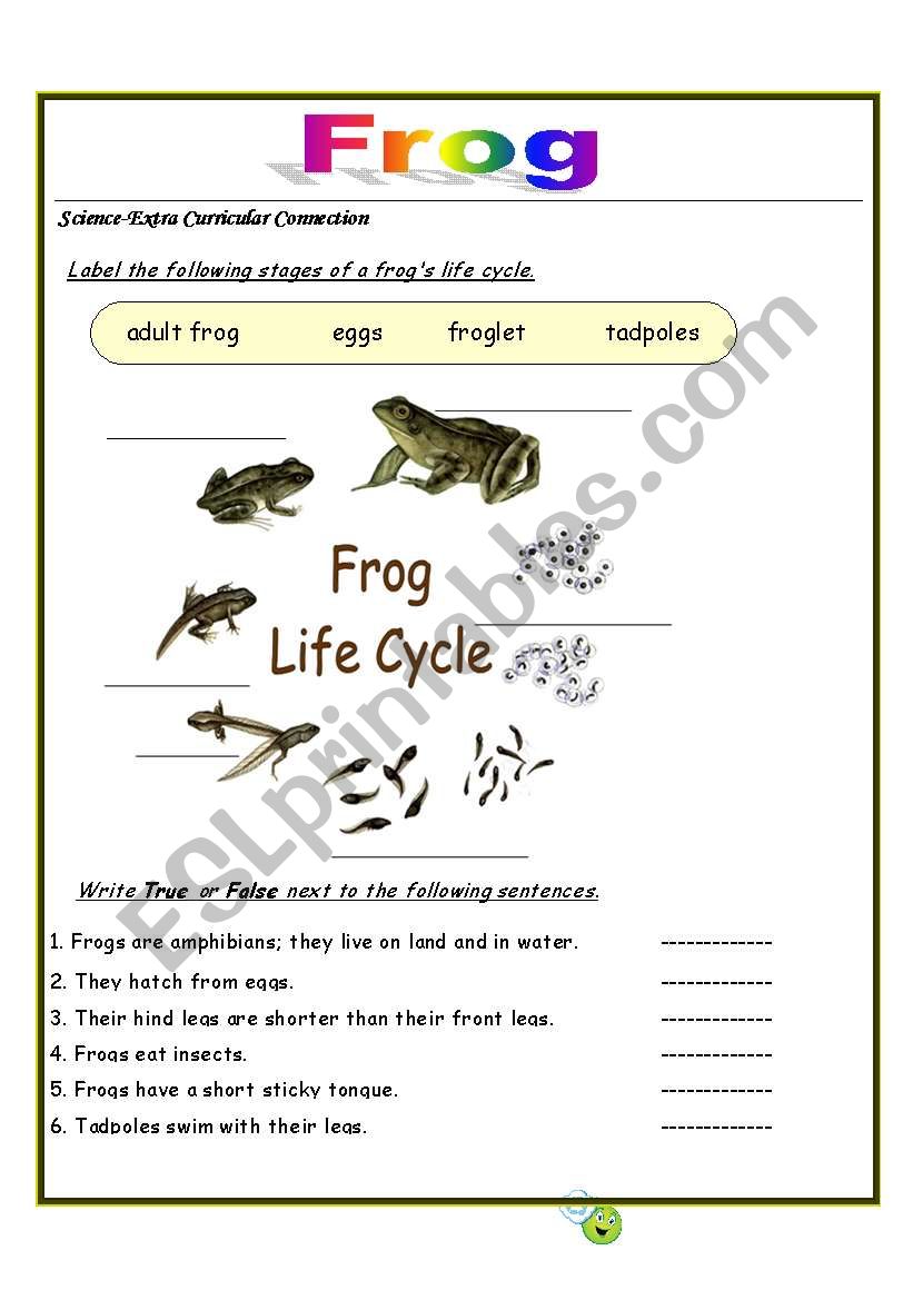 frog 2 worksheet