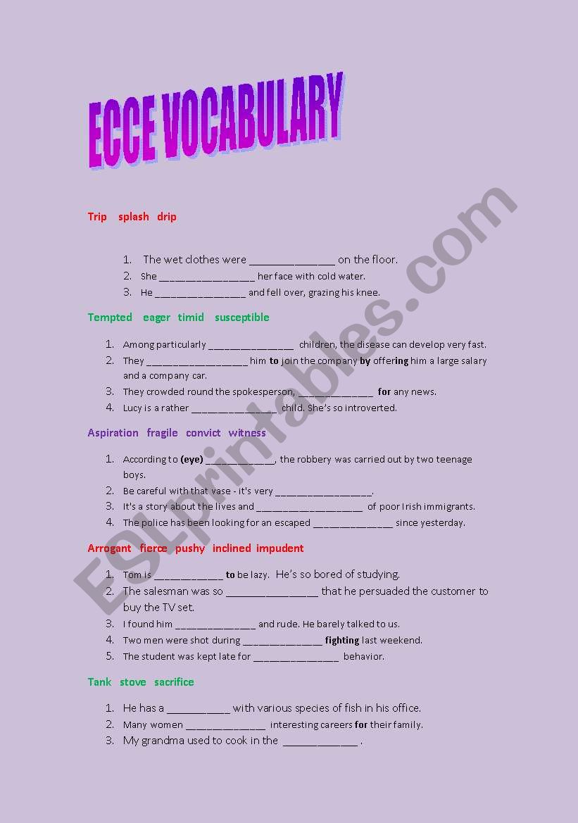 ecce vocabulary practice worksheet