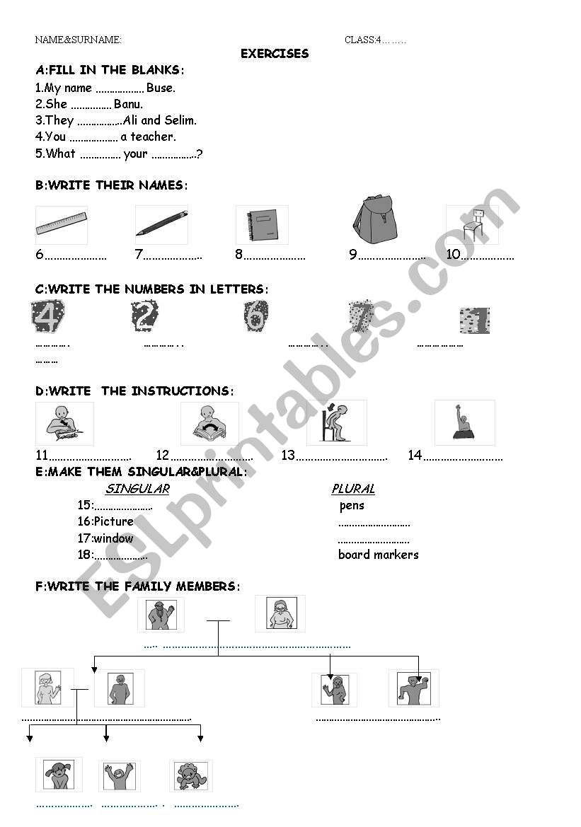 school worksheet