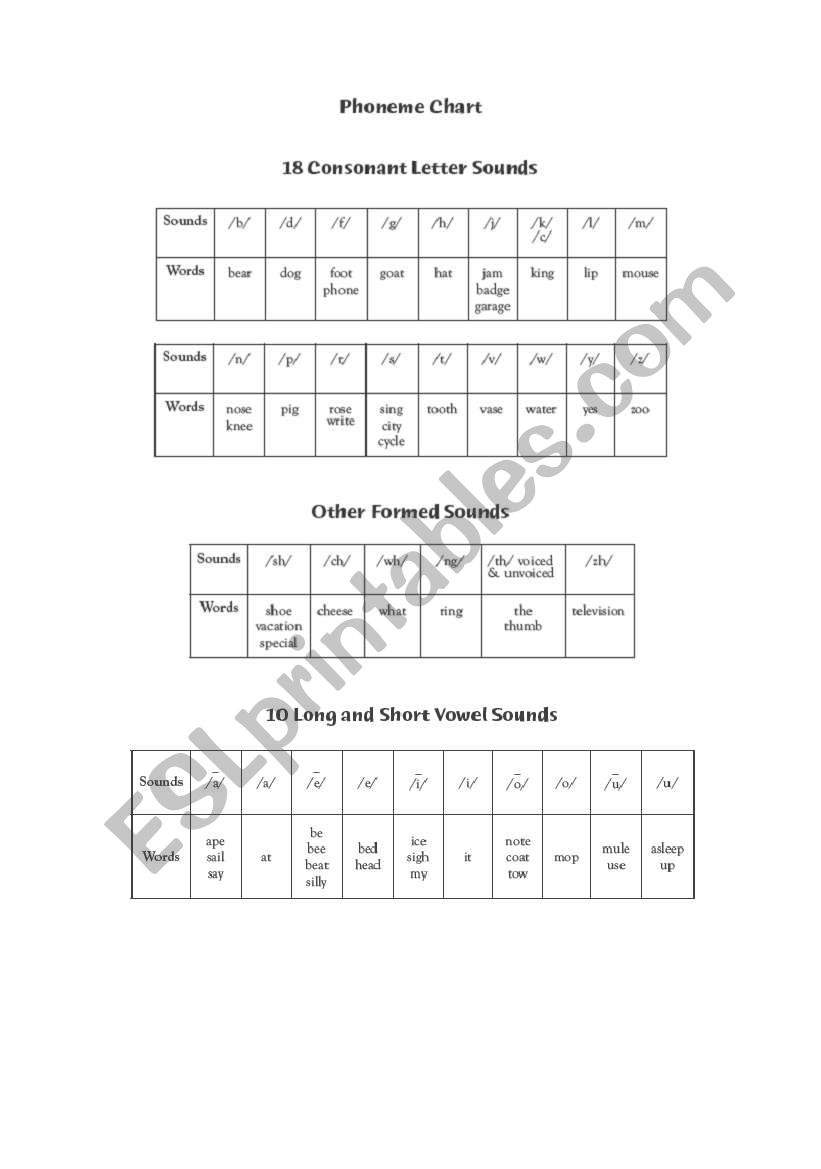 phoneme chart worksheet