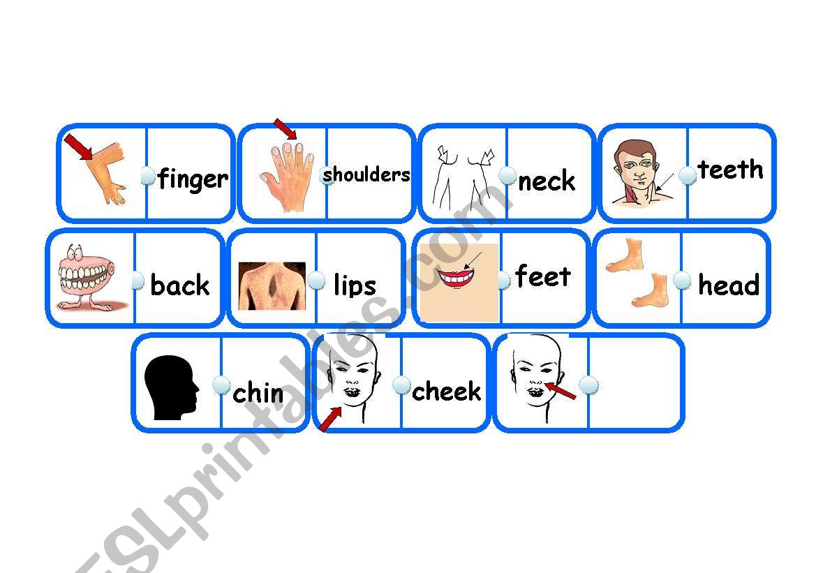 Parts of Body Dominoes - part 2