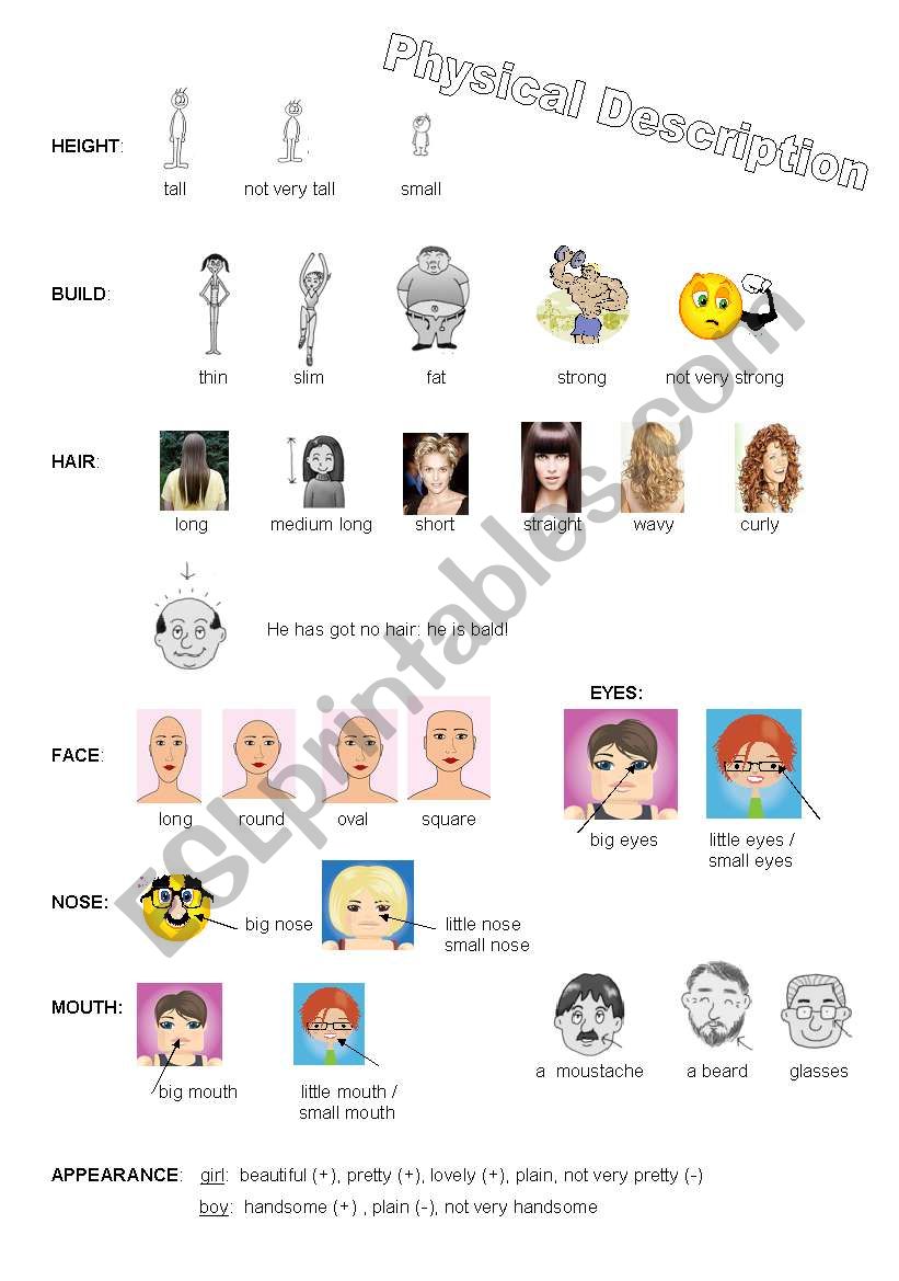 Physical decription worksheet