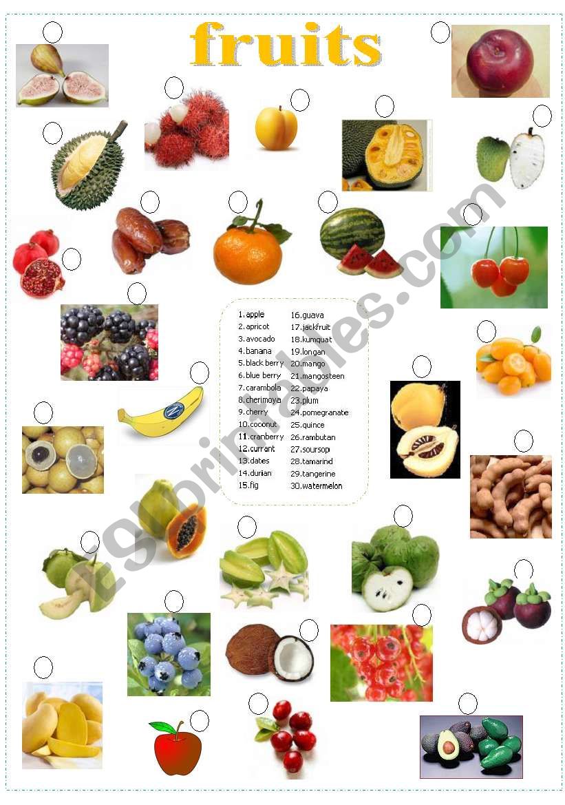 fruits worksheet