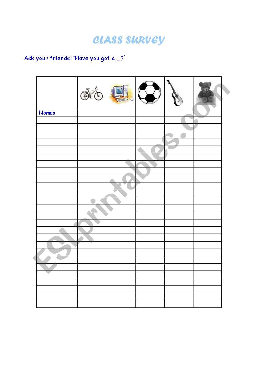 A CLASS SURVEY worksheet