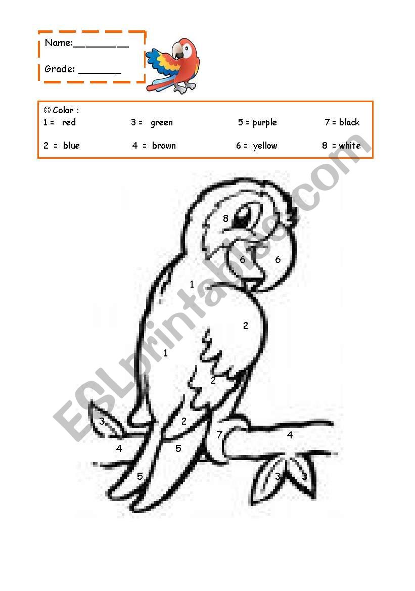 Color the parrot worksheet