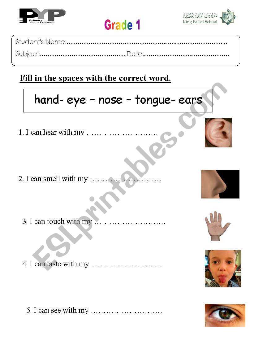 five senses worksheet
