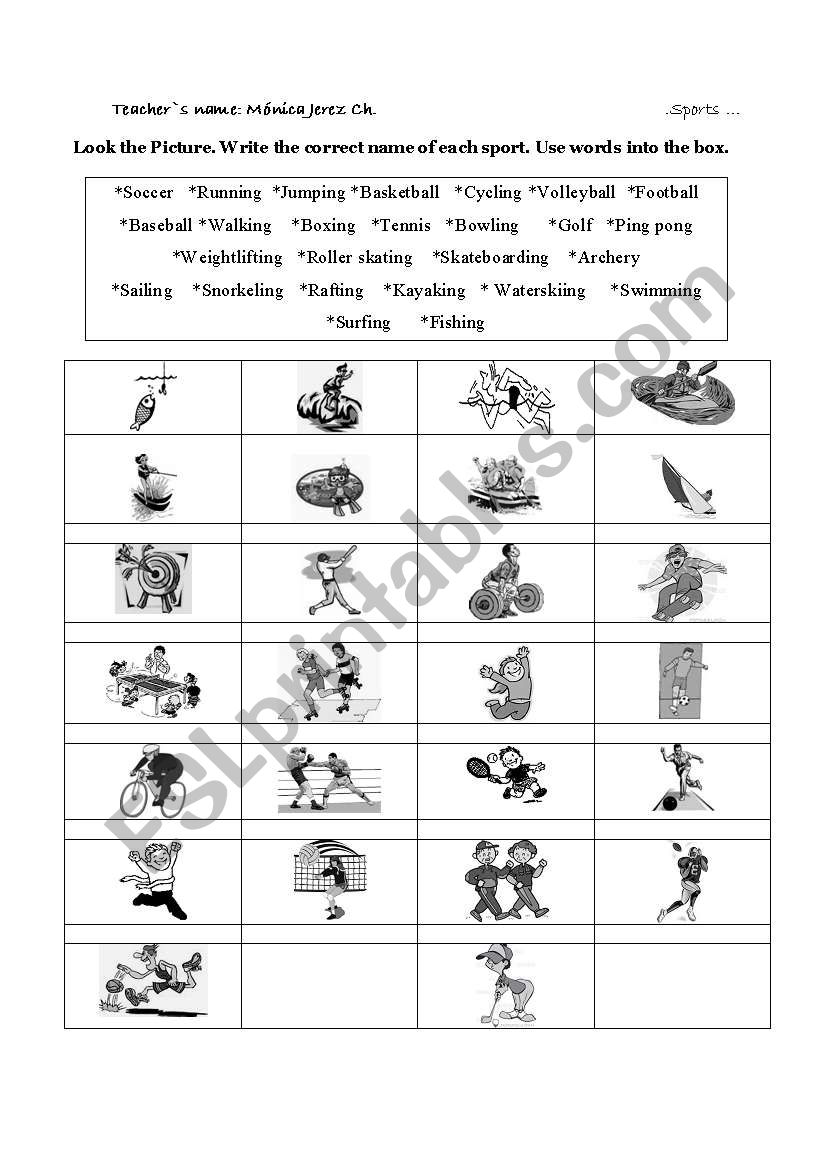 sports worksheet