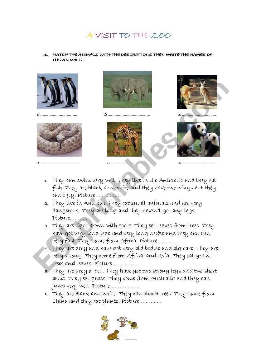 a visit to the zoo worksheet