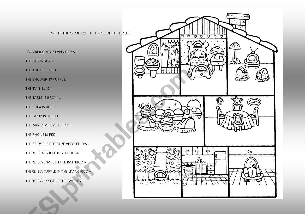 READ, COLOUR AND DRAW worksheet