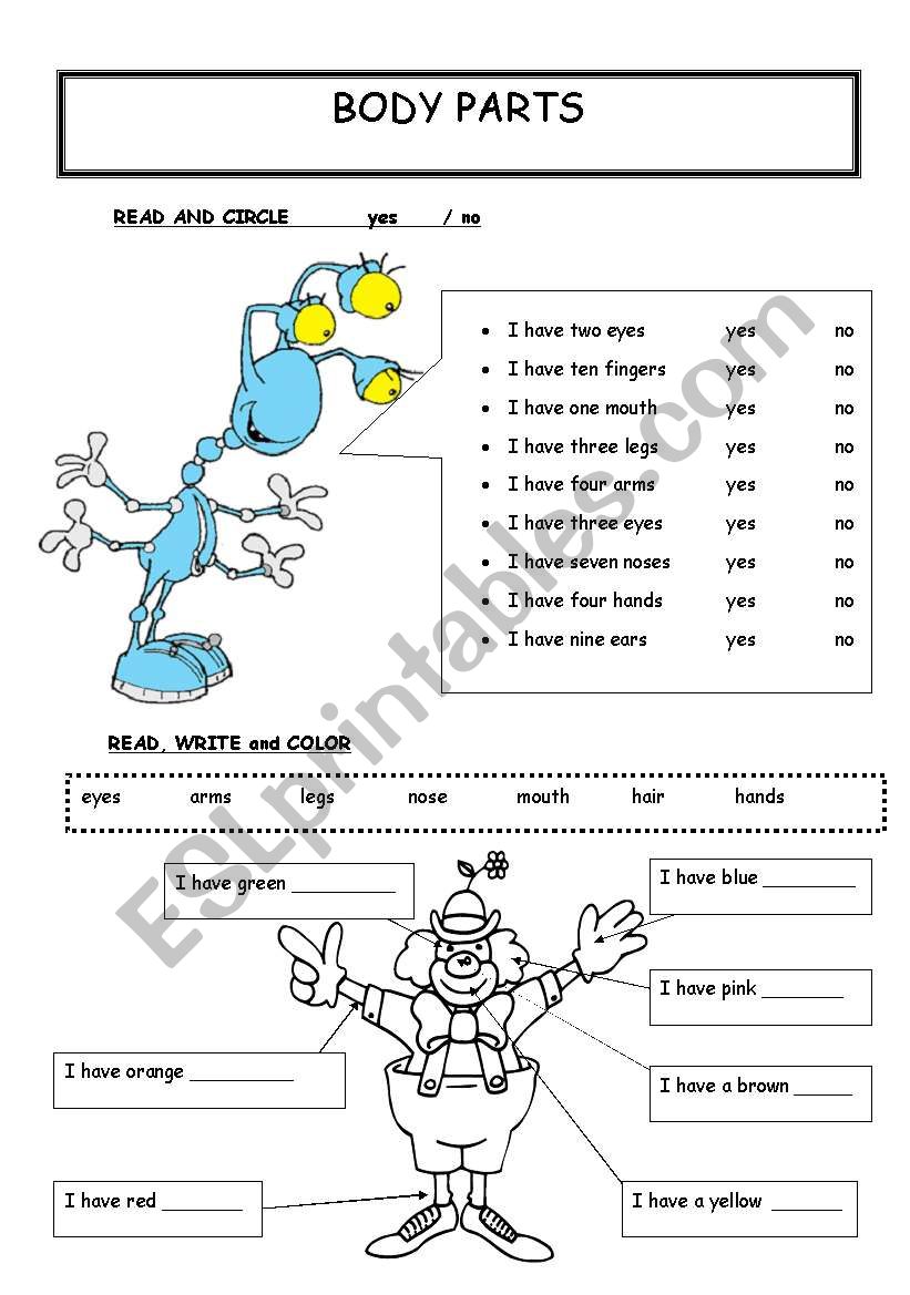 Body Parts worksheet