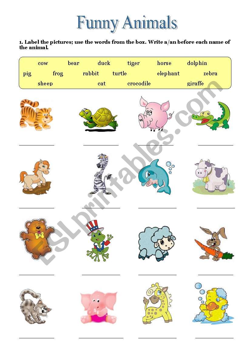 Funny Animals worksheet