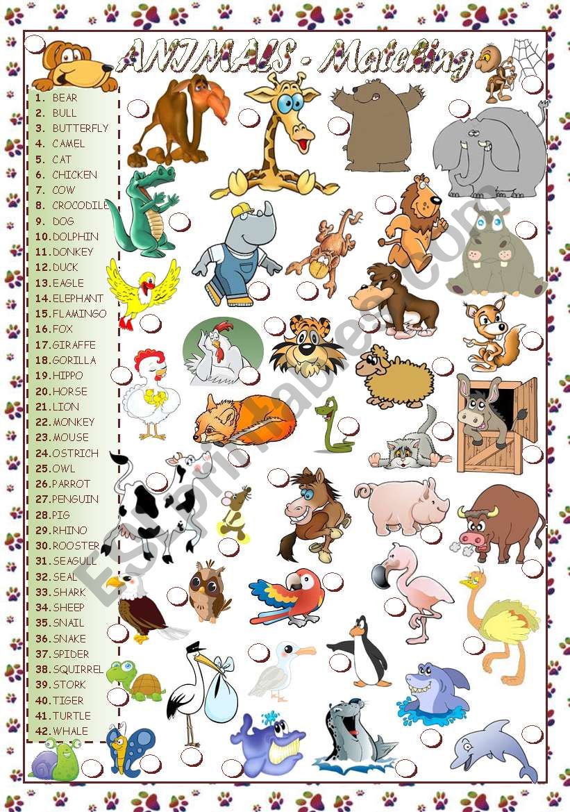 ANIMALS - MATCHING worksheet