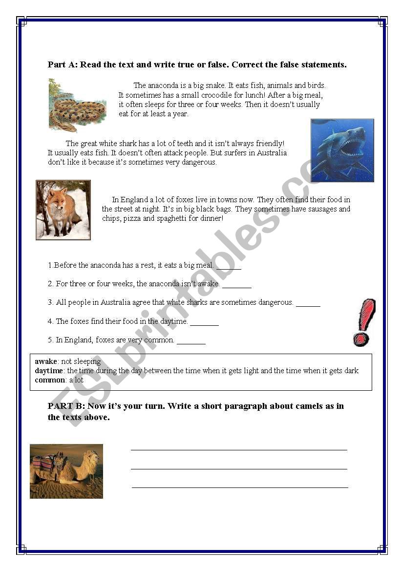 Animals worksheet