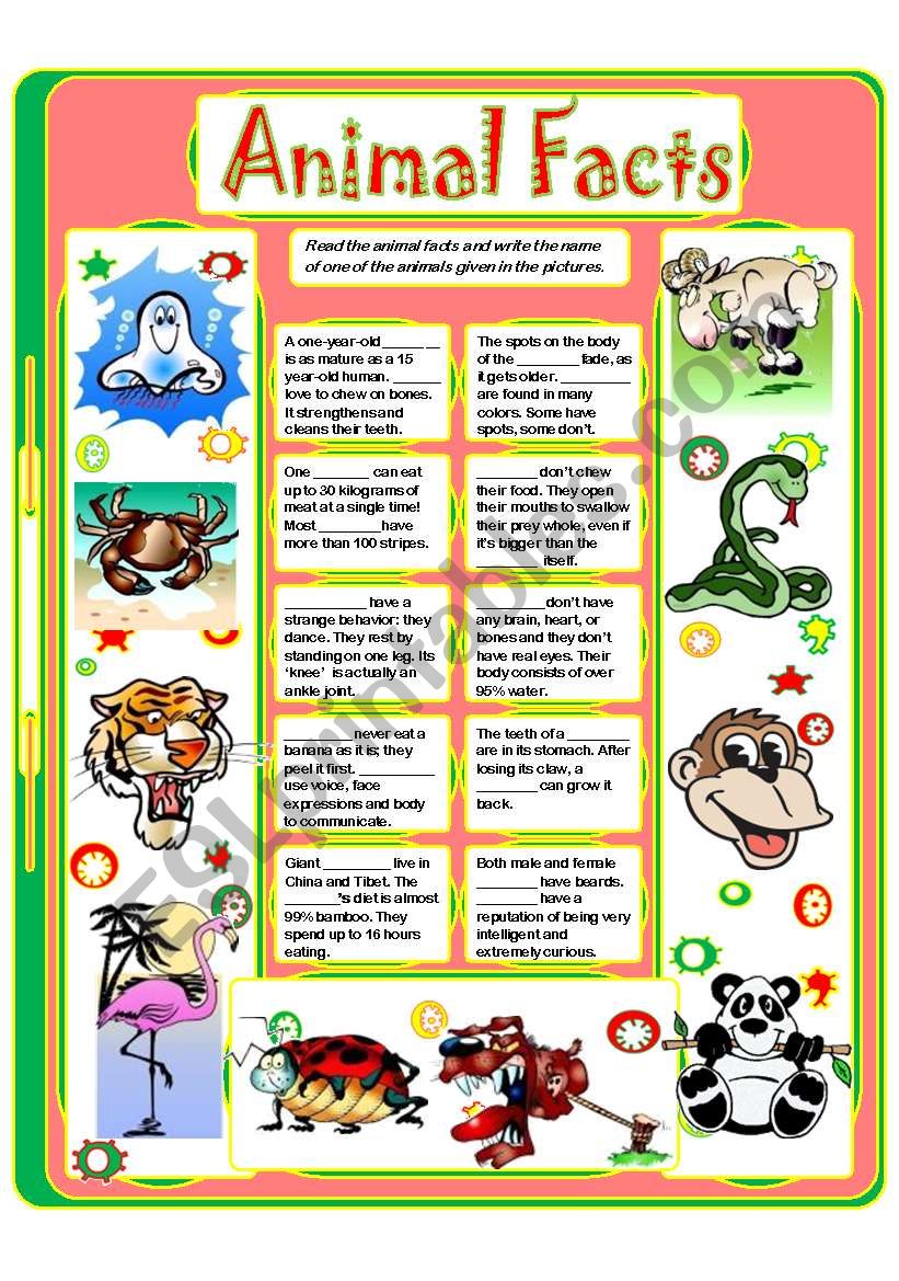 ANIMAL FACTS (4) worksheet